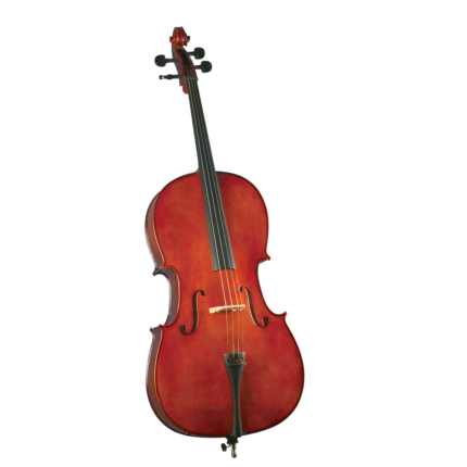 Cello Cervini HC-100
