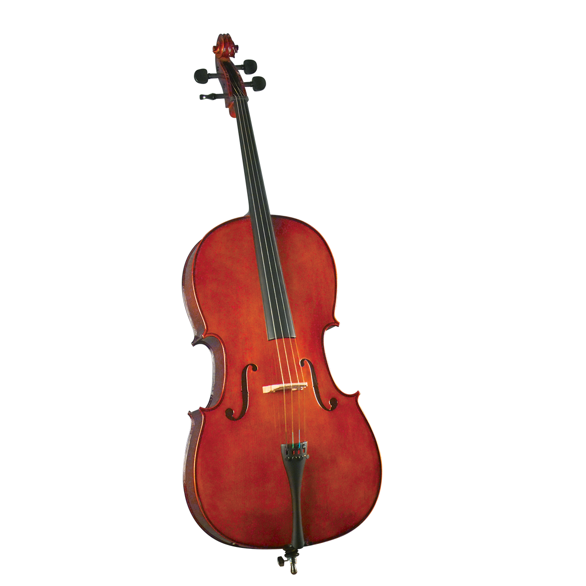 HC-100_F.png Cello Cervini HC-100